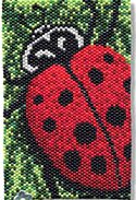 Lady Bird Duet - Amy Loh Kupser