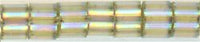 DB-1876   Silk Inside Dyed Cactus AB   11° Delica cylinder (04gm Tube)