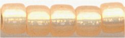dbm-0621 Silver Lined Pale Peach  10° Delica cylinder bead (10gm)
