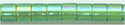 DBS-0152 - Transparent Green AB  15° Delica cylinder