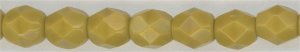 fp4-102  4 mm Fire Polish -  Goldenrod  (50)